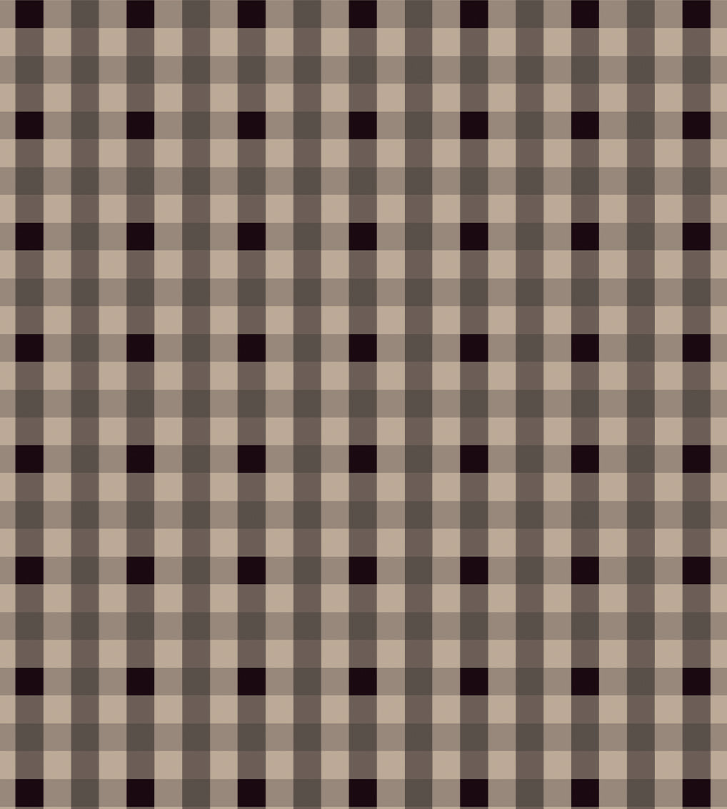 Vichy signature Brun fumé/grège